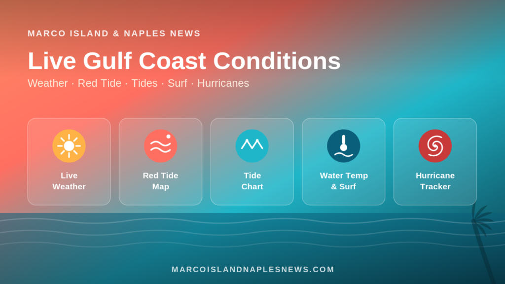 live gulf coast conditions