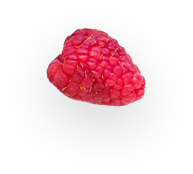 popup pic 2.png