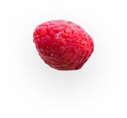 popup pic 4.png